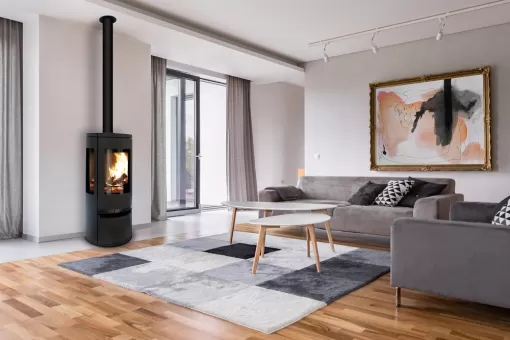 Promotion pour toutes commandes de poêle à bois ou poêle à pellets à Rive-de-Gier, Rive-de-Gier, JADE CHEMINEE